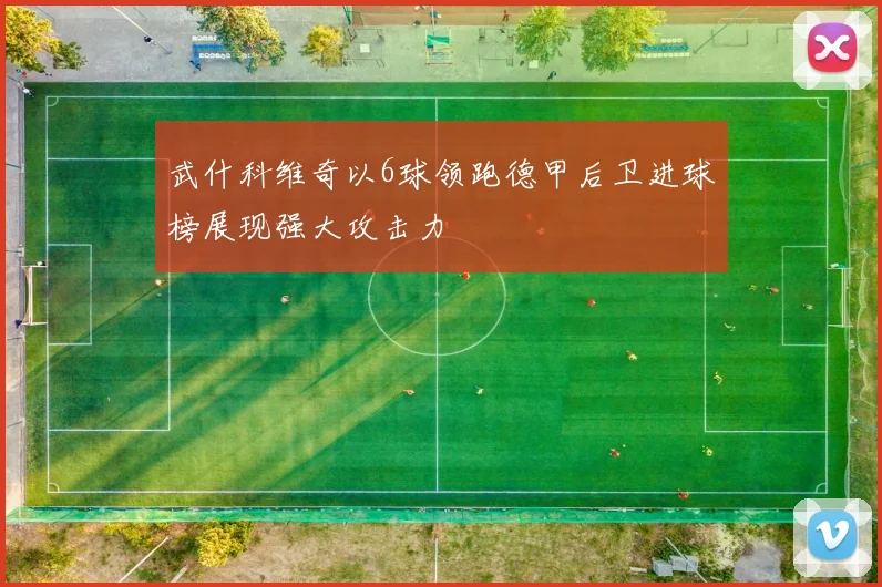 武什科维奇以6球领跑德甲后卫进球榜展现强大攻击力